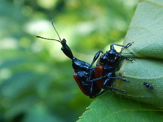 f0118332_00140585.jpg