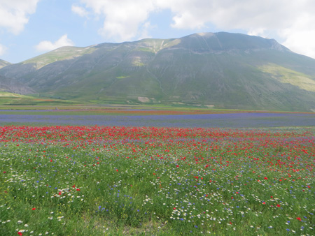 f0234936_7331430.jpg