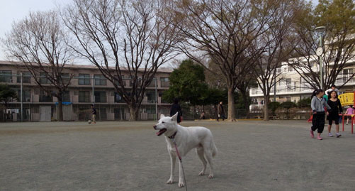a0117039_23324960.jpg