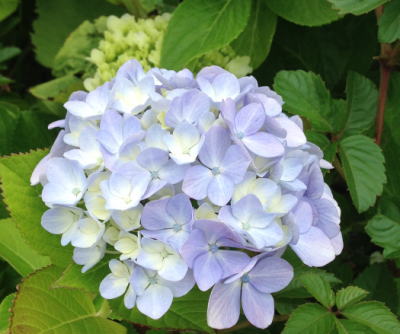 b0001440_14213861.jpg
