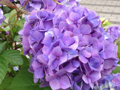 b0001440_14215486.jpg