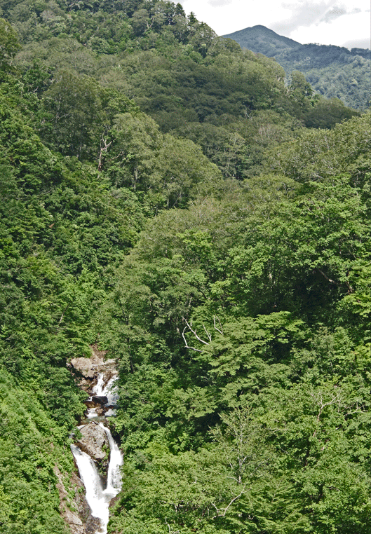 d0237340_12433409.gif