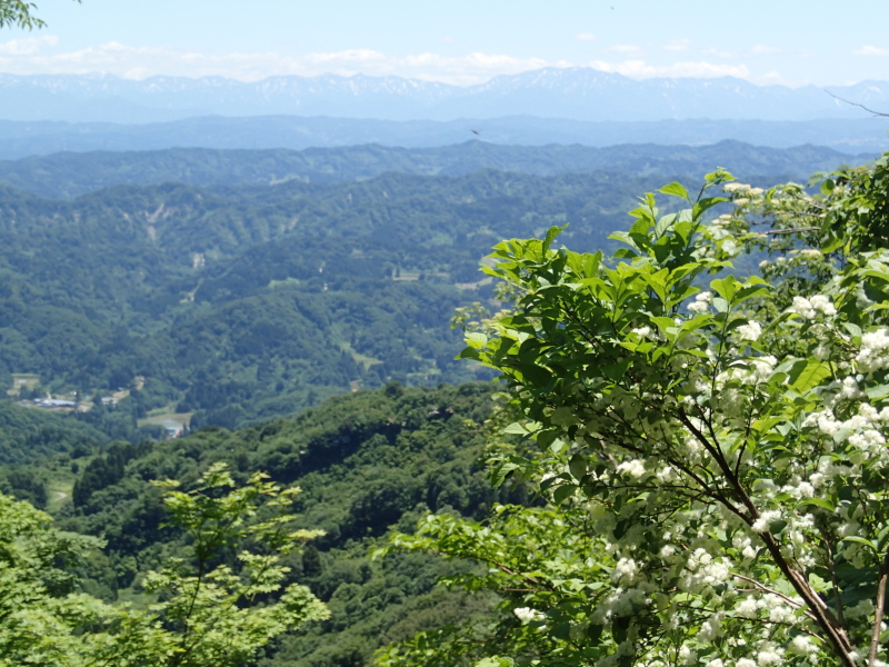b0190242_1213688.jpg