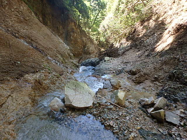 f0334143_1903169.jpg