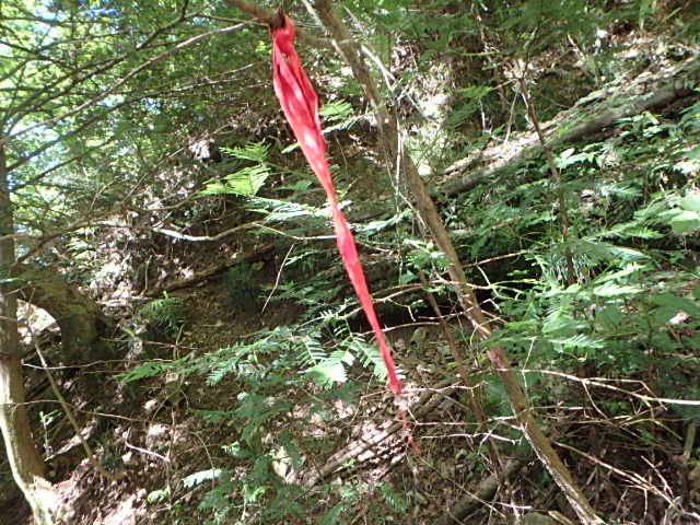 f0334143_19103422.jpg
