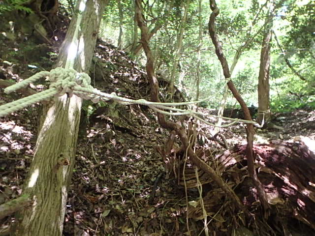 f0334143_19114964.jpg