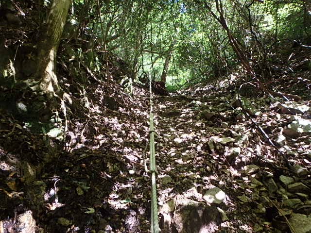 f0334143_19122336.jpg