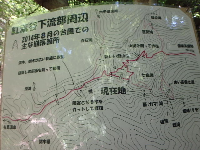 f0334143_1971898.jpg