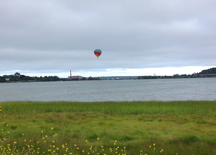 c0135045_02199.jpg