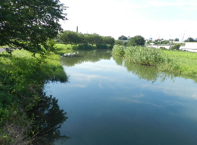 e0172950_19362275.jpg
