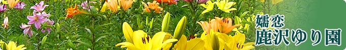 a0290852_16224756.jpg