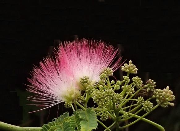 b0243152_23464244.jpg