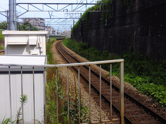 c0039153_1047497.jpg