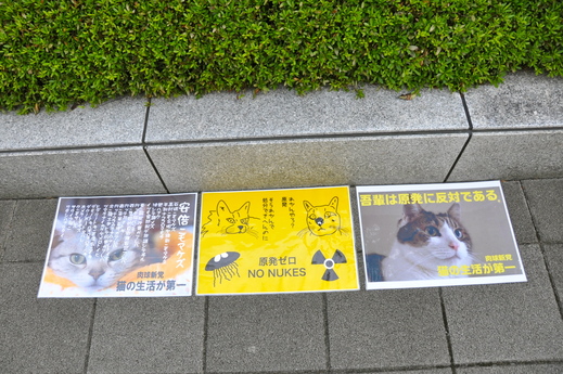 b0242956_847565.jpg