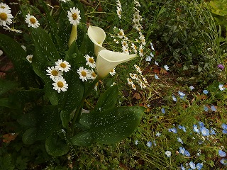 e0004756_21135754.jpg