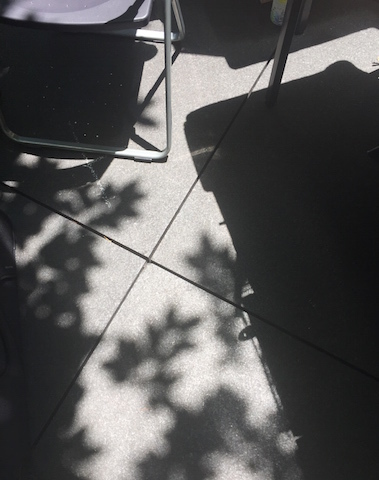b0333658_12392611.jpg