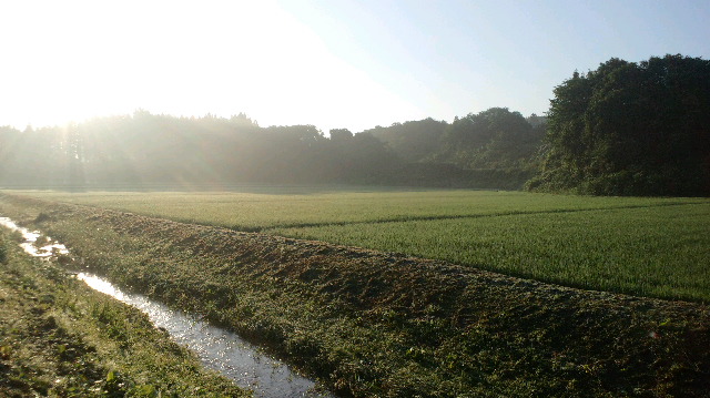 b0311459_5562610.jpg