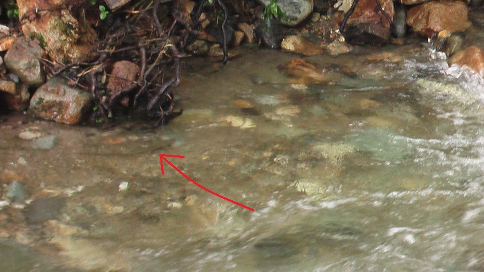 b0208961_11322997.jpg