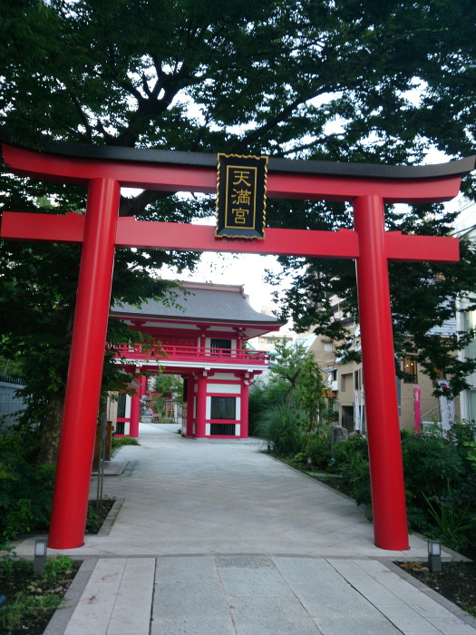 a0073065_141040.jpg