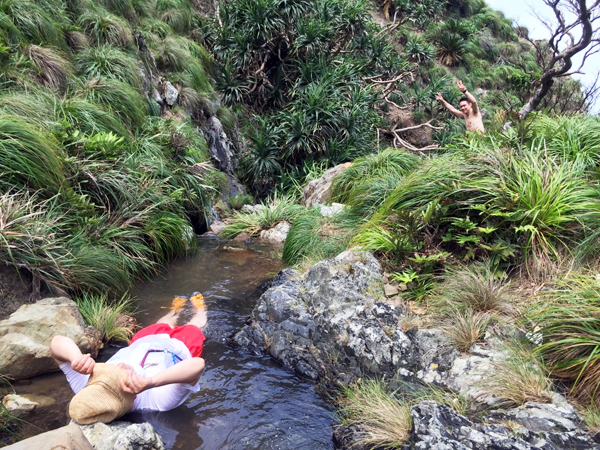 c0048265_123370.jpg