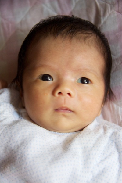 b0286869_1411079.jpg