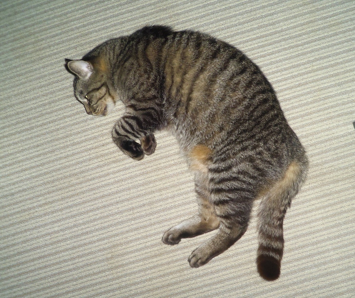 e0031572_16245539.jpg