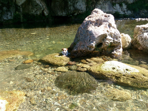 e0106372_1238420.jpg