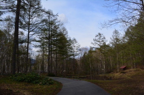 d0226492_19371851.jpg