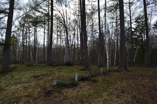 d0226492_19461861.jpg