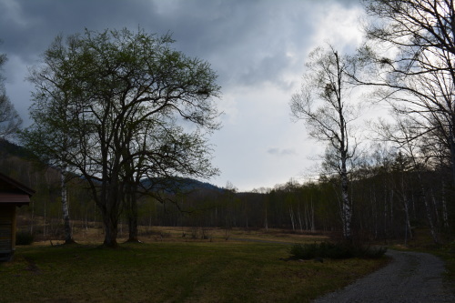 d0226492_19492177.jpg