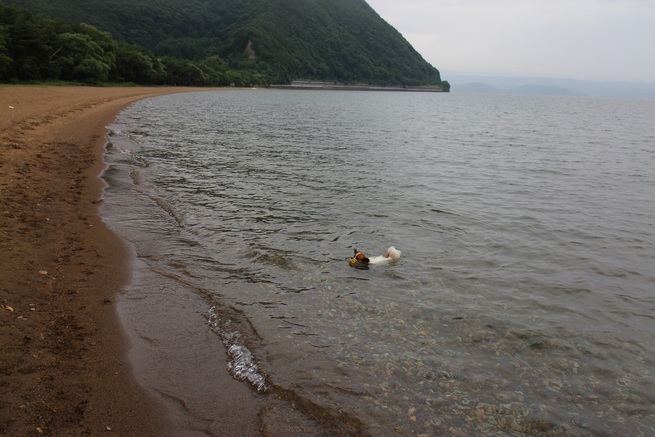 f0034602_21155554.jpg