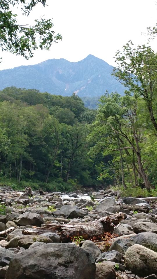 b0172805_8581760.jpg