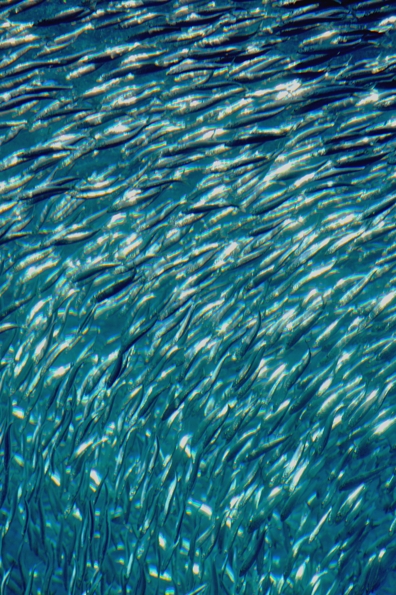 d0211108_4272229.jpg