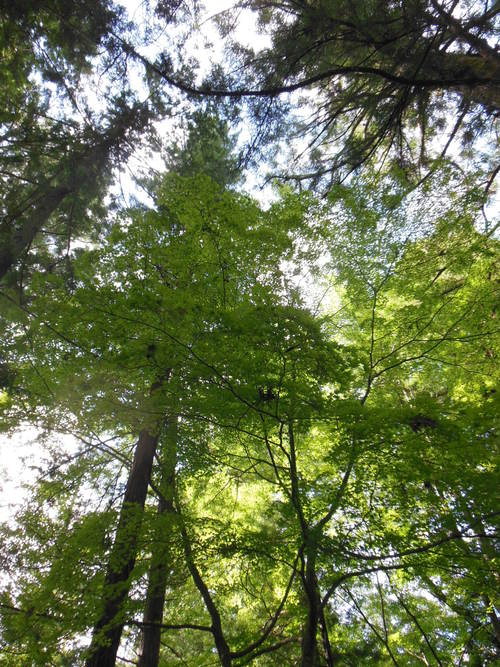 f0208812_1153987.jpg