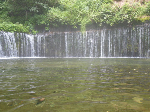 f0208812_12492080.jpg