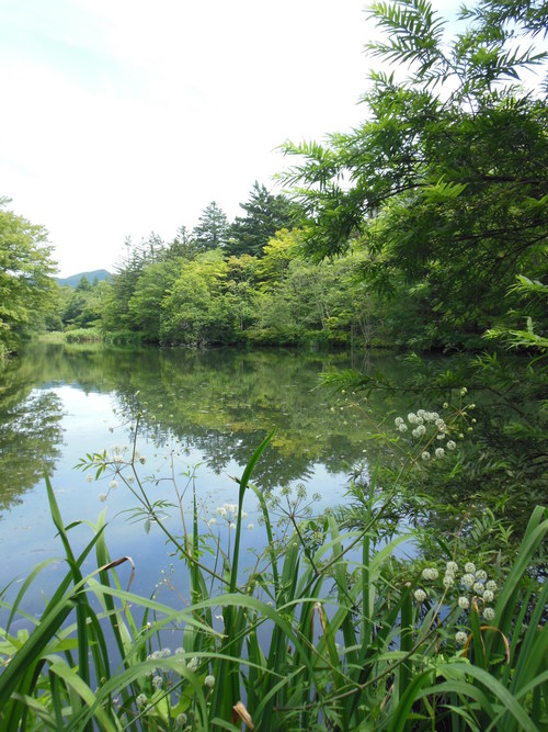 f0208812_13232584.jpg