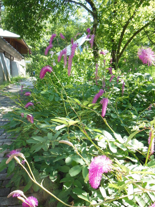 f0208812_1338999.jpg