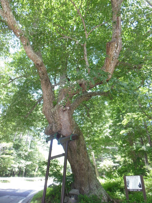 f0208812_14301139.jpg