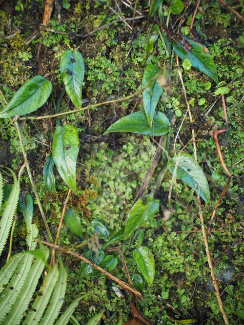 c0156313_15535986.jpg