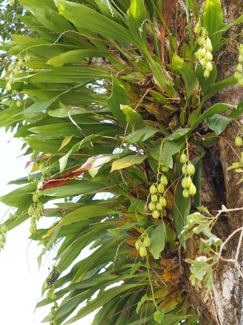c0156313_15552243.jpg