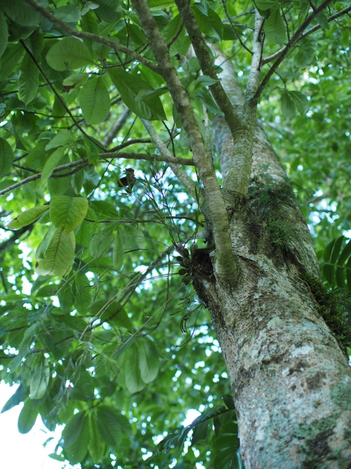 c0156313_15552714.jpg