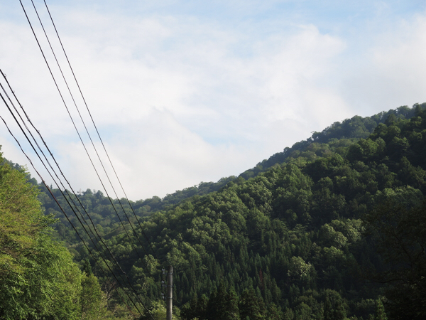 c0346119_17545360.jpg