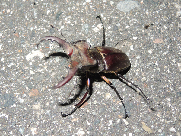 c0346119_17545370.jpg