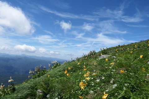 f0118332_00121512.jpg