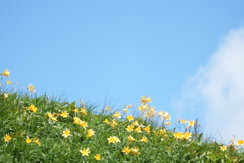 f0118332_14231169.jpg