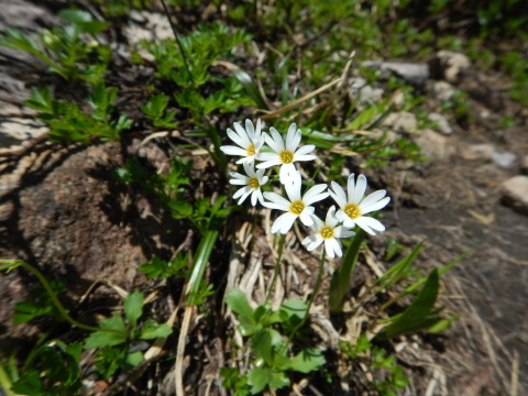 f0118332_14233835.jpg