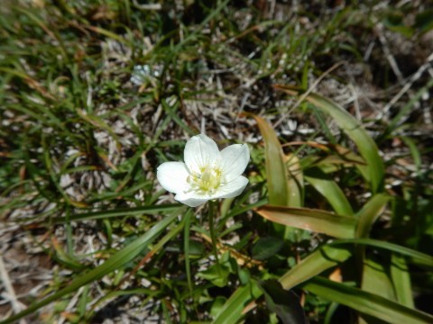 f0118332_14245622.jpg