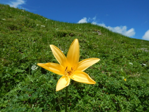 f0118332_14301329.jpg