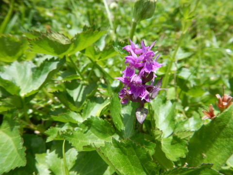 f0118332_14302838.jpg