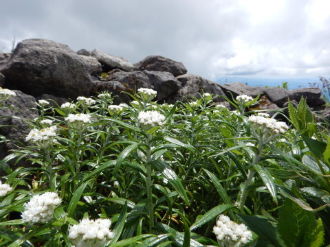 f0118332_14340651.jpg